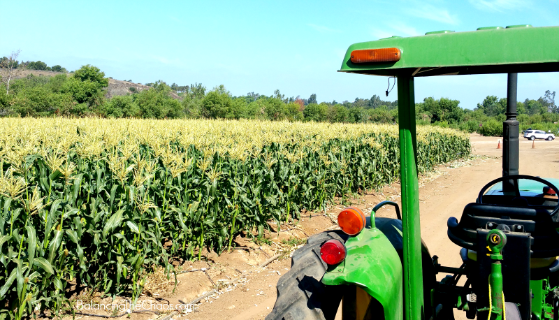 Tanaka Farms Tours