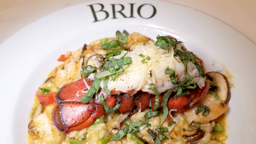 Brio Tuscan Grill Shrimp Risotto with boiled Lobster