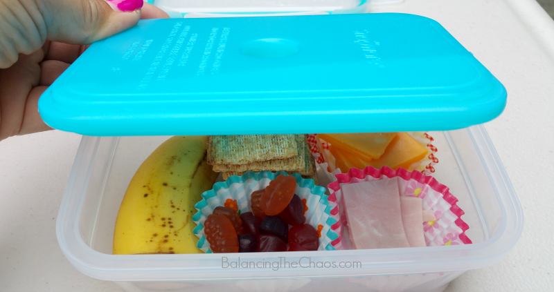 Snapware Cooler Lunch kits