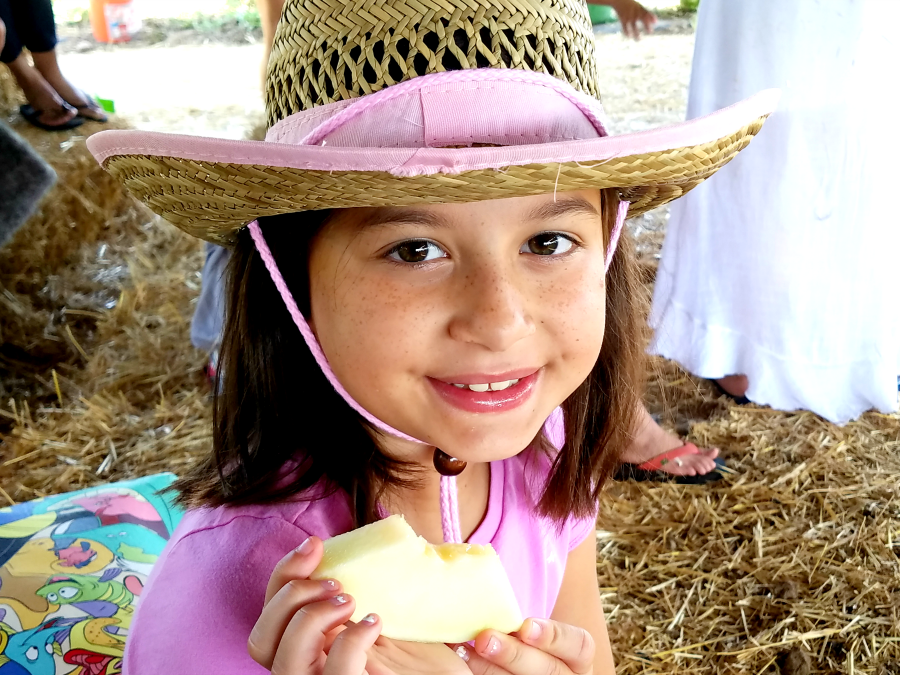 Tanaka Farms Watermelon Tour Summer Time Things to do