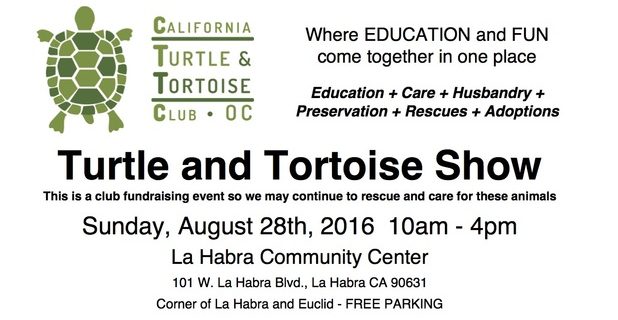 Turtle and Tortoise Show