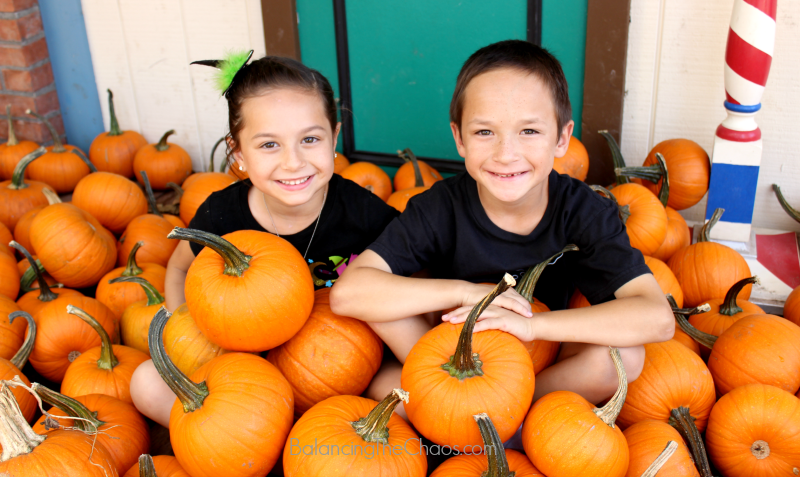 Hundreds of Pumpkins at Irvine Park Railroad Pumpkin Patch