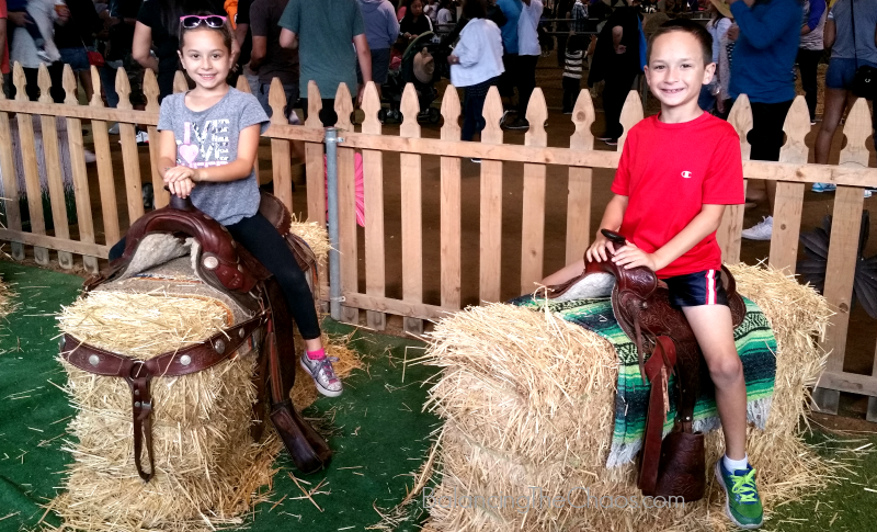 LA County Fair Photo Fun