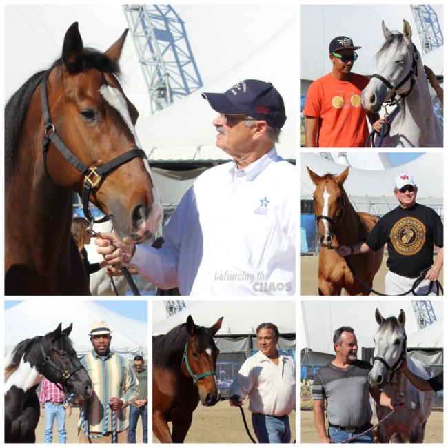 Cavalia Veterans and Horses