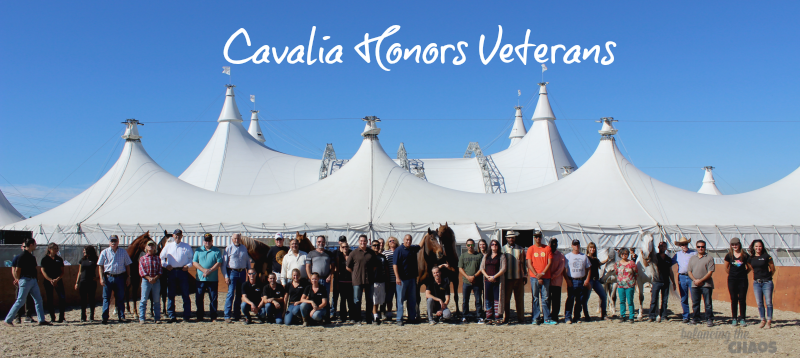 Cavalia honors veterans