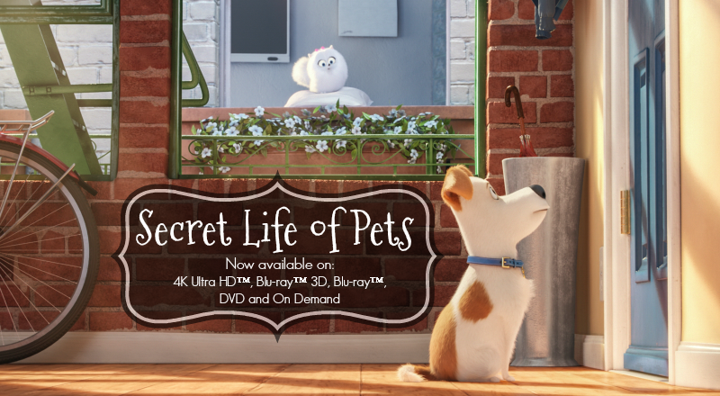 Secret life of pets