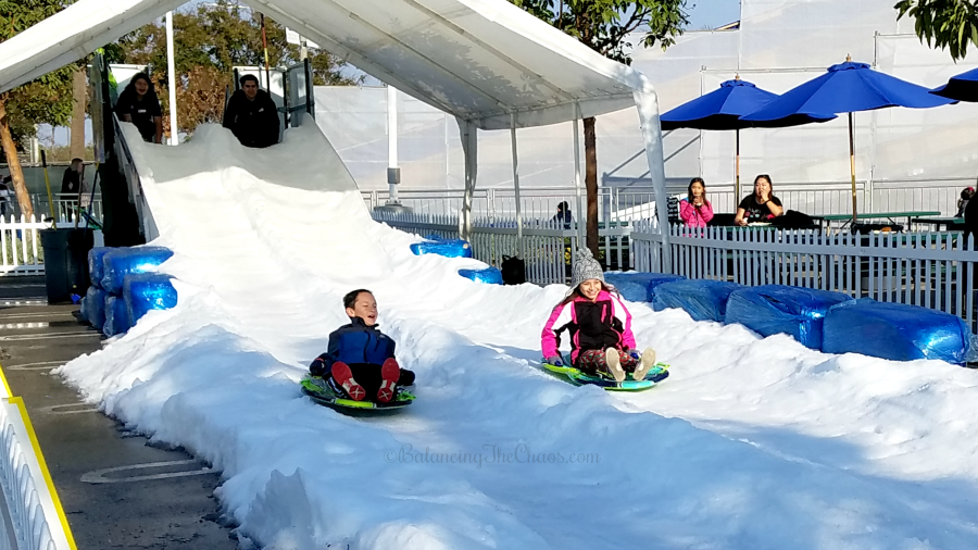 Sleds and snow slides at Discovery Cube Winter Wonderfest