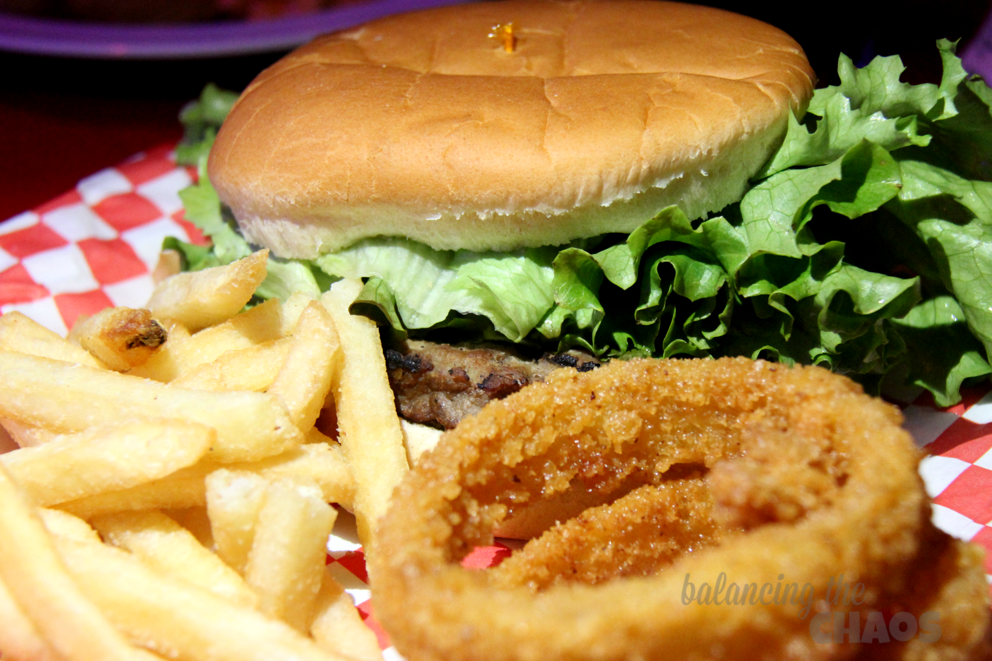 Cirque Magique Burger Fries Onion Rings