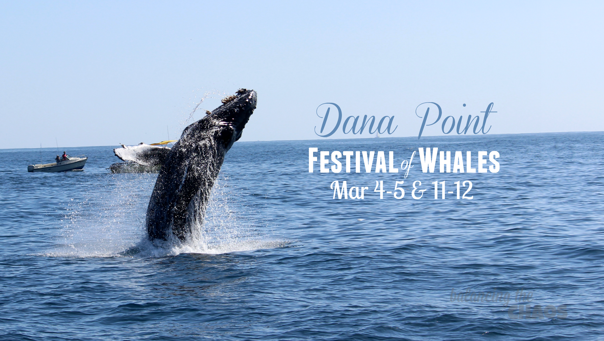 46th Annual Dana Point Festival of the Whales + Whale Watching # ...