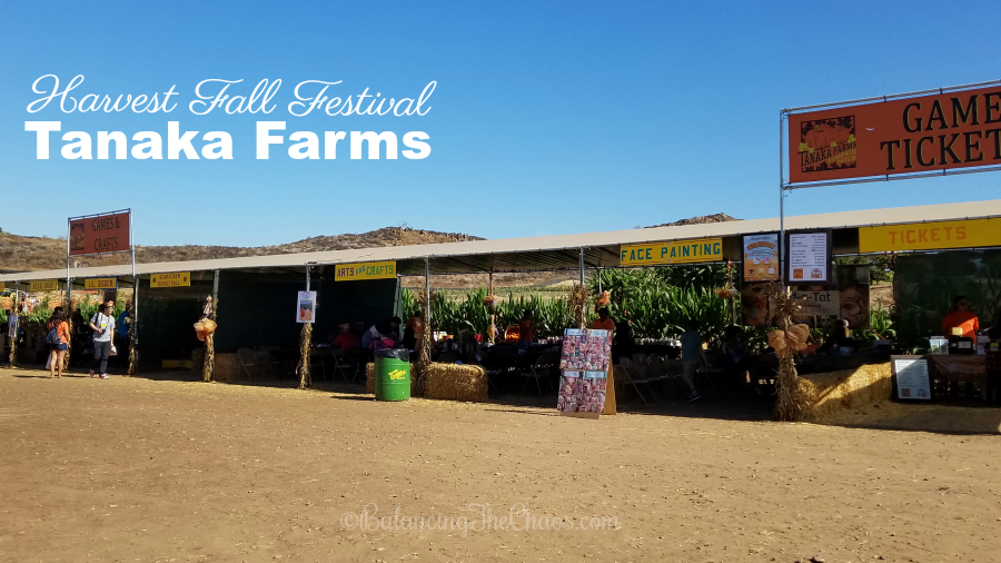 Harvest Fall Festival at Tanaka Farms