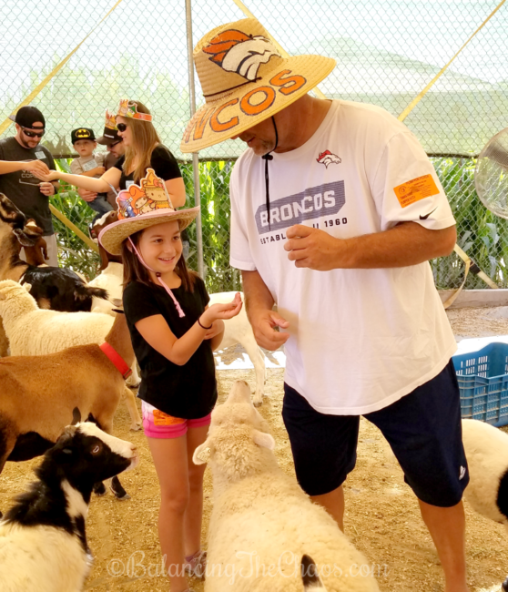 Tanaka Farms Petting Zoo