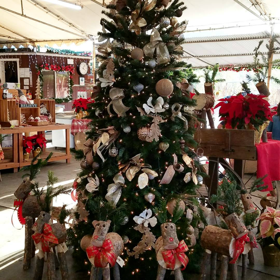 Holiday Boutique at Tanaka Farms