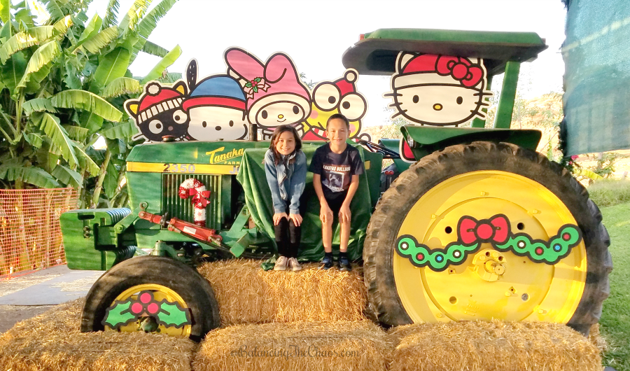 Holiday Wagon Tour Tanaka Farms
