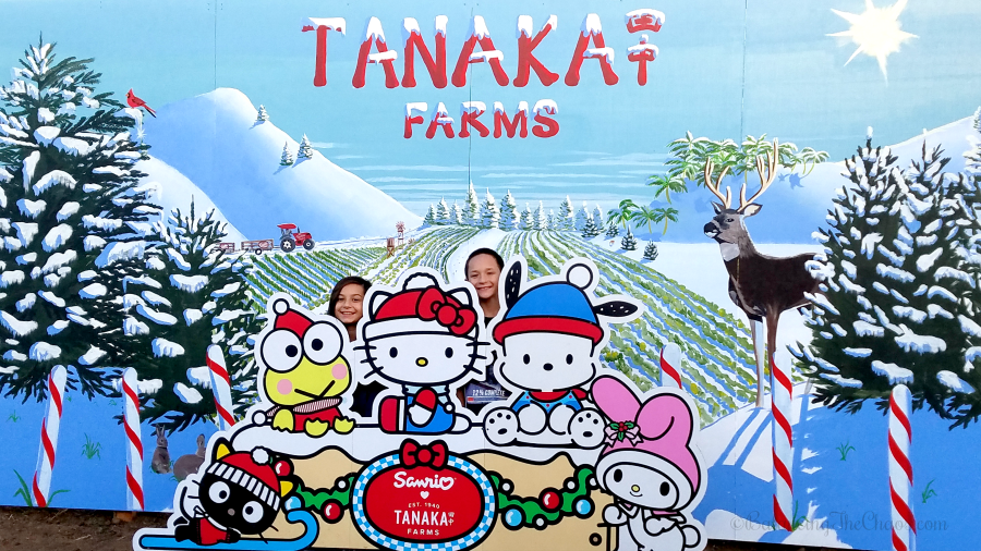 Holidays at Tanaka Farms