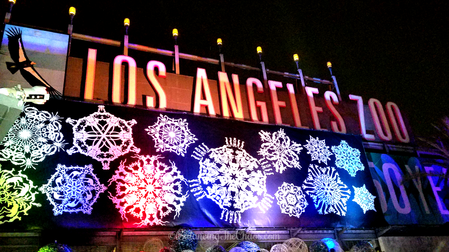 Night Life LA Zoo Lights Holidays