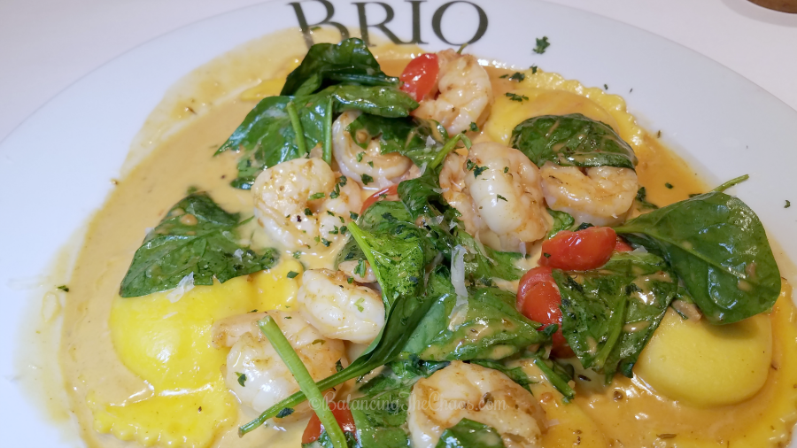 Seafood Celebration And Spring At Brio Tuscan Grille Balancing
