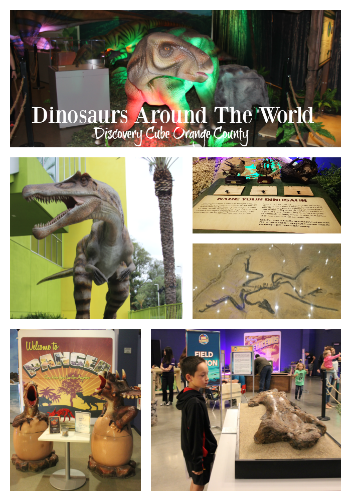 Discovery Cube Orange County Dinosaurs Around The World