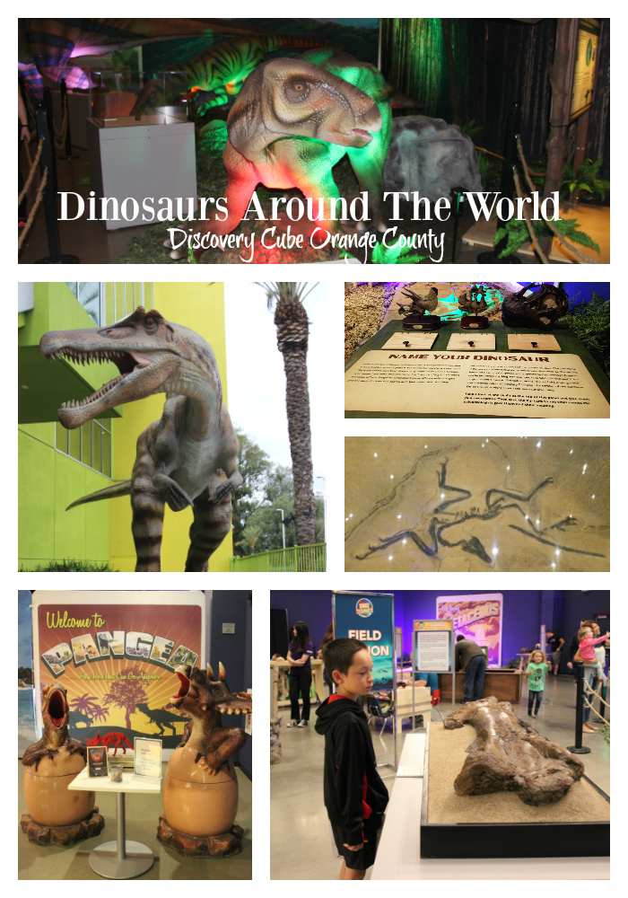 dinosaurs around the world exhibit