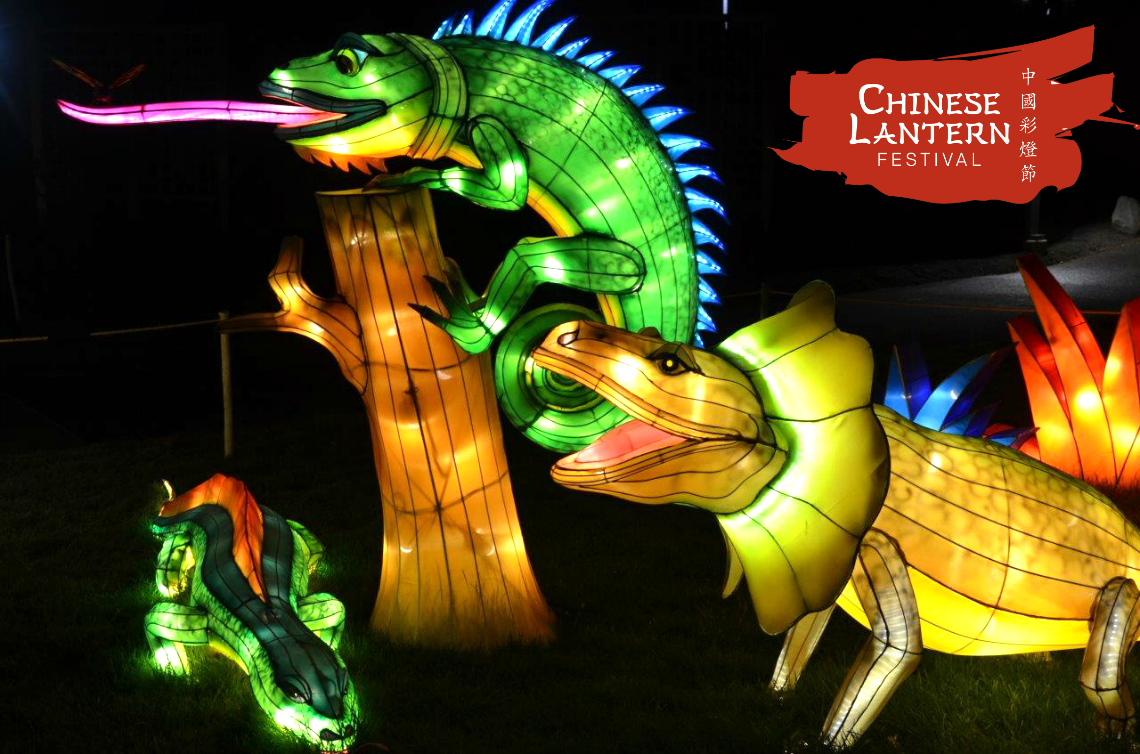 Chinese Lantern Festival Lizards