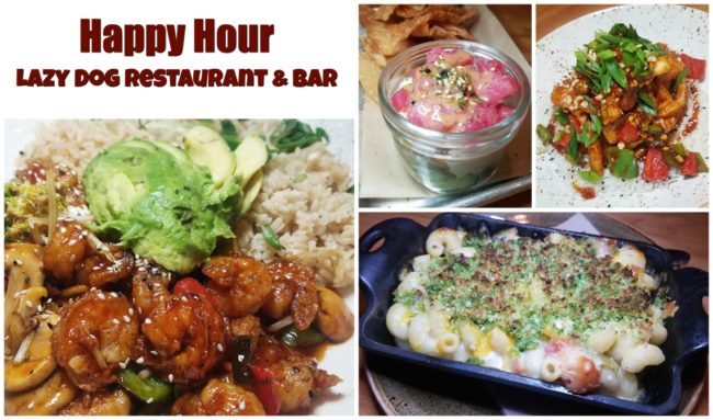Happy Hour at Lazy Dog Restaurant and Bar