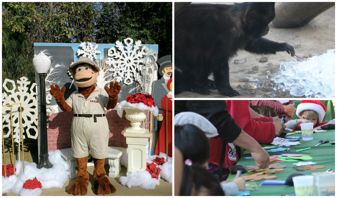 Snow Days at the Santa Ana Zoo