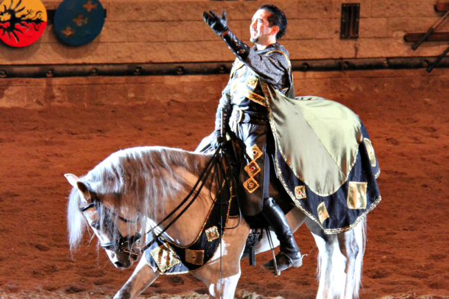 Medieval Times Horses