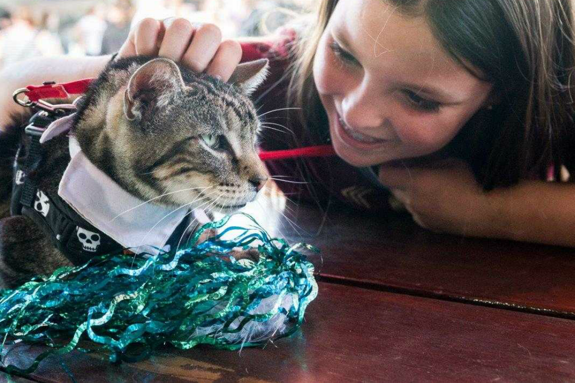 Pet Adoptions at Americas Family Pet Expo