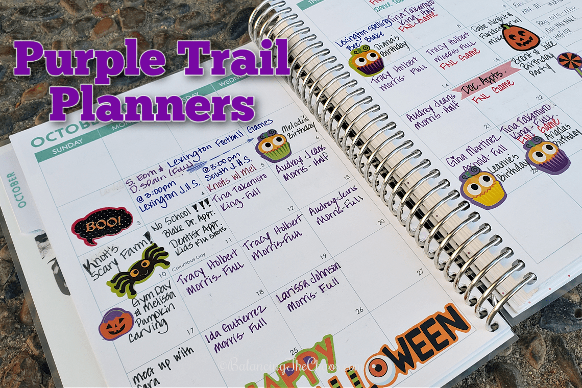 Organize Your Time with a Customizable Purple Trail Planner Balancing