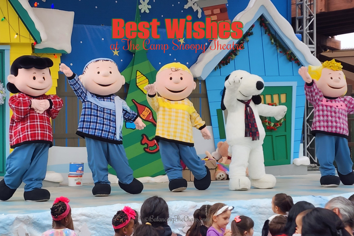 Best Wishes at the Camp Snoopy Theatre
